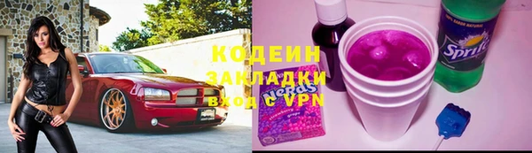 мяу мяу мука Елизово