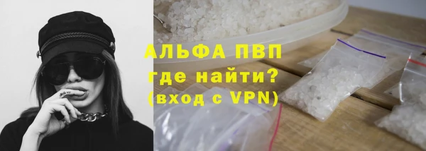 мяу мяу мука Елизово