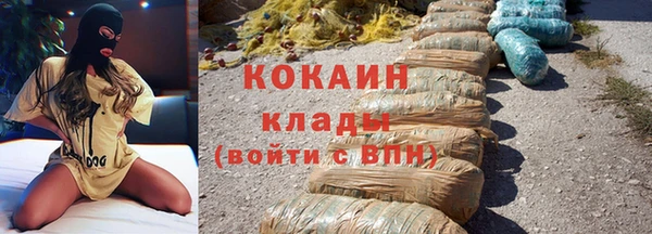 шишки Заволжск