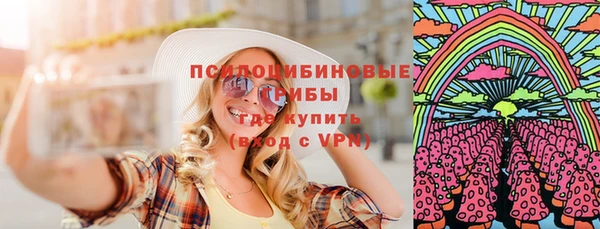 не бодяженный Заводоуковск