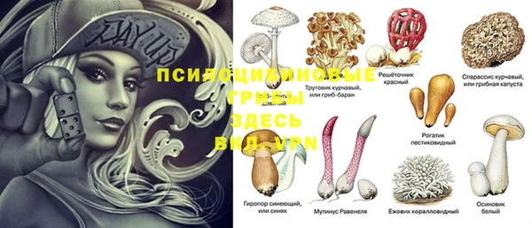 jwh Елабуга